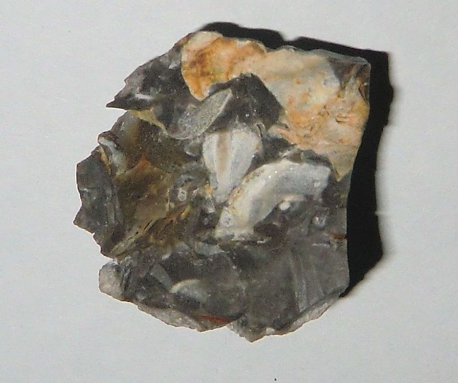 Abschlagstück vom Meteoriten
mit fossilen Strukturen