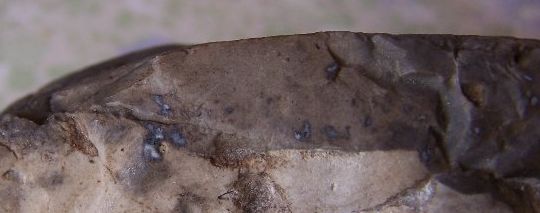 Metallische einsprengsel 
sind häufig in dem 
Meteoriten vorhanden
kein Eisen

